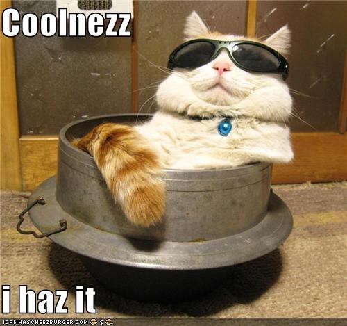 Coolnezz  i haz it