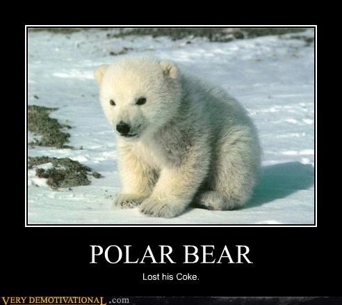POLAR BEAR
