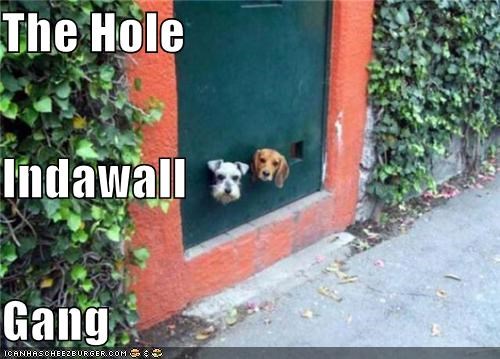 The Hole Indawall Gang