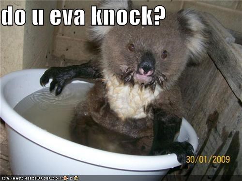 do u eva knock?