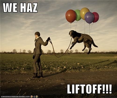 WE HAZ  LIFTOFF!!!