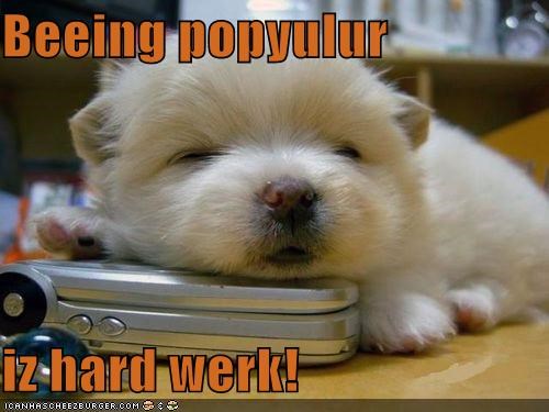 Beeing popyulur  iz hard werk!