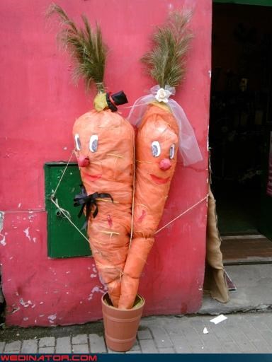 I REALLY Wish This Photo Had Been Submitted with Context...