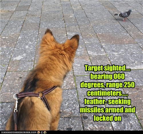 Target sighted.... bearing 060 degrees, range 250 centimeters..... feather- seeking missiles armed and locked on
