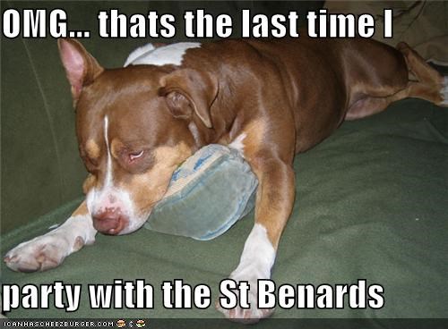 OMG... thats the last time I  party with the St Benards