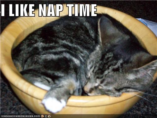 I LIKE NAP TIME