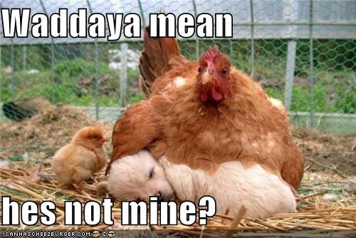 Waddaya mean  hes not mine?