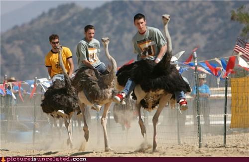 I Want to be in This Race!