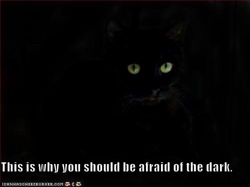 This is why you should be afraid of the dark.