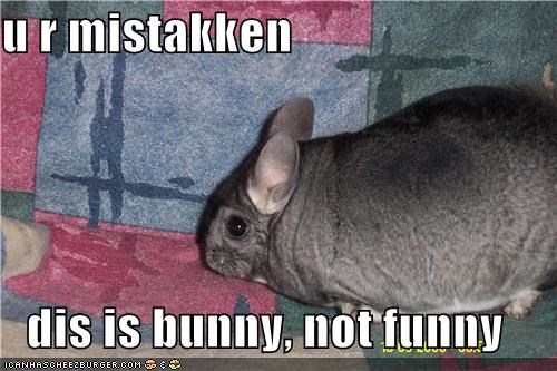 u r mistakken  dis is bunny, not funny