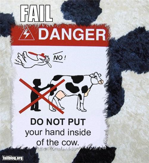 Cow Warning Fail