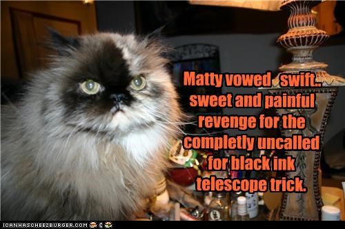 Matty vowed   swift.. sweet and painful revenge for the completly uncalled for black ink telescope trick.