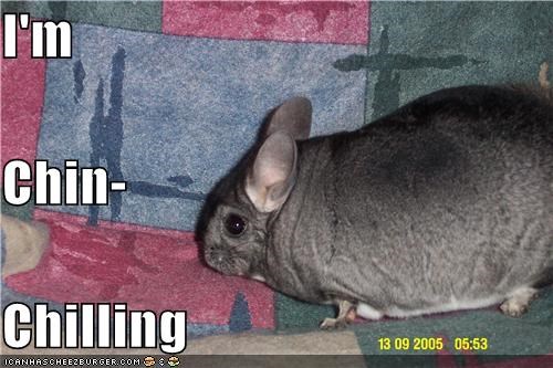 I'm Chin- Chilling