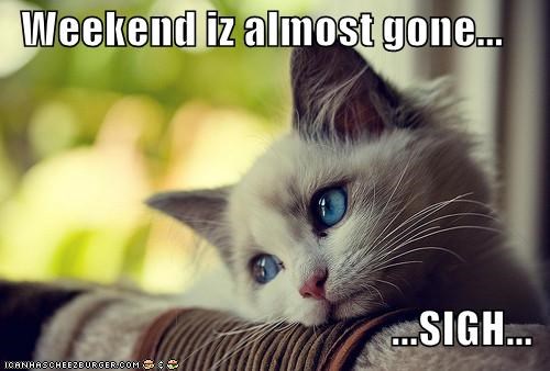 Weekend iz almost gone...  ...SIGH...