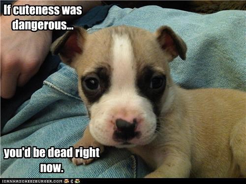 Deadly Cute.