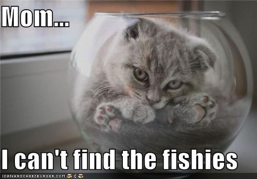 Mom...  I can't find the fishies