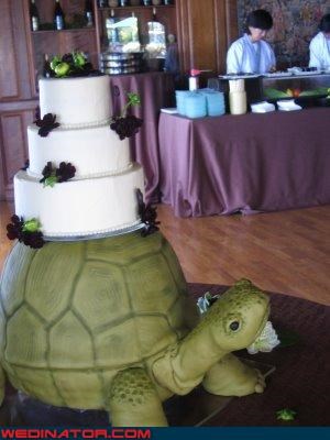My Favorite Fable! The Tortoise and the Wedding Cake!