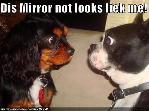 Dis Mirror not looks liek me!
