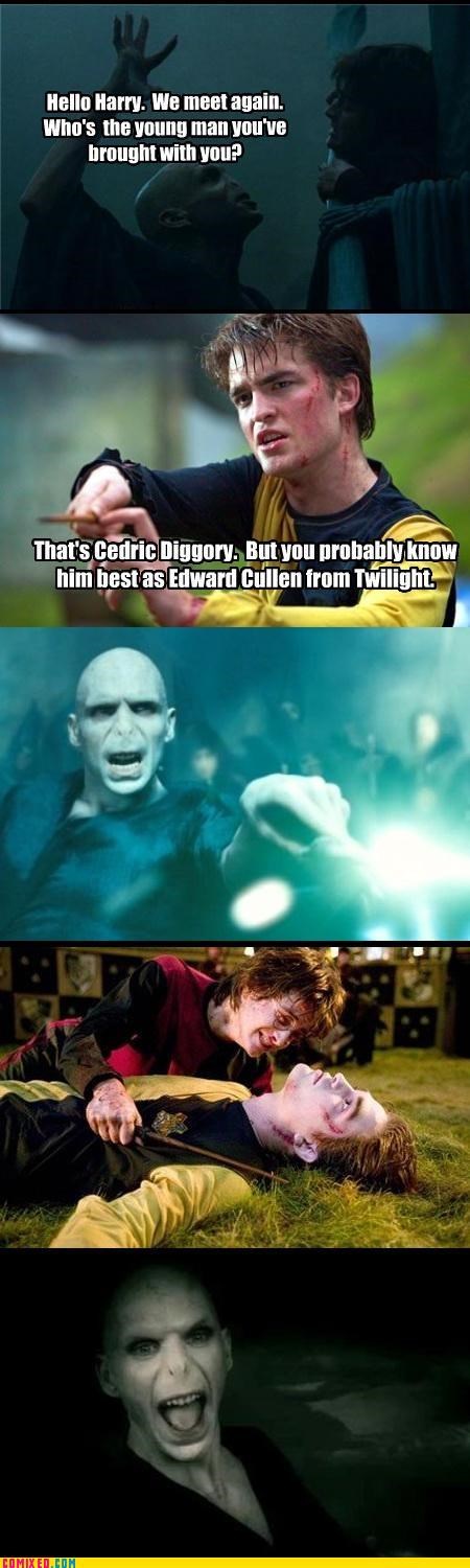 Lord Voldemort is Not a Fan
