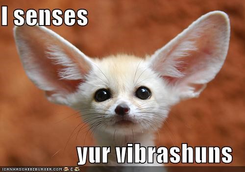 I senses   yur vibrashuns