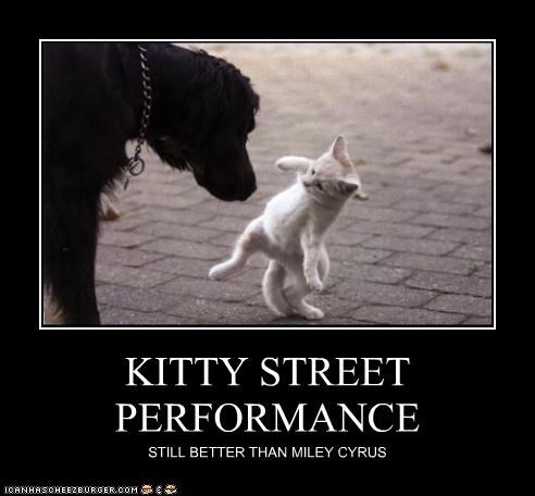 KITTY STREET PERFORMANCE