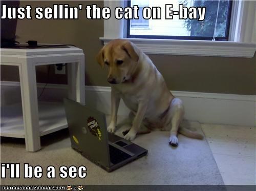 Just sellin' the cat on E-bay  i'll be a sec