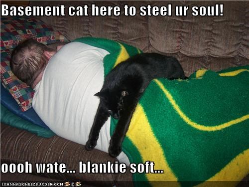 Basement cat here to steel ur soul!  oooh wate... blankie soft...