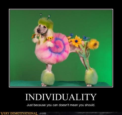 INDIVIDUALITY