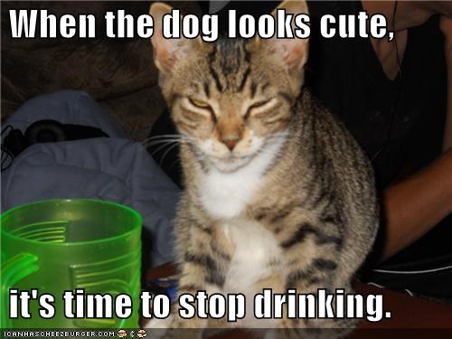 When the dog looks cute,   it's time to stop drinking.