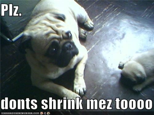 Plz.  donts shrink mez toooo