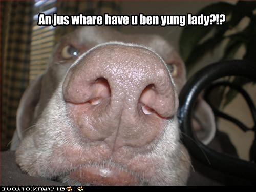 An jus whare have u ben yung lady?!?