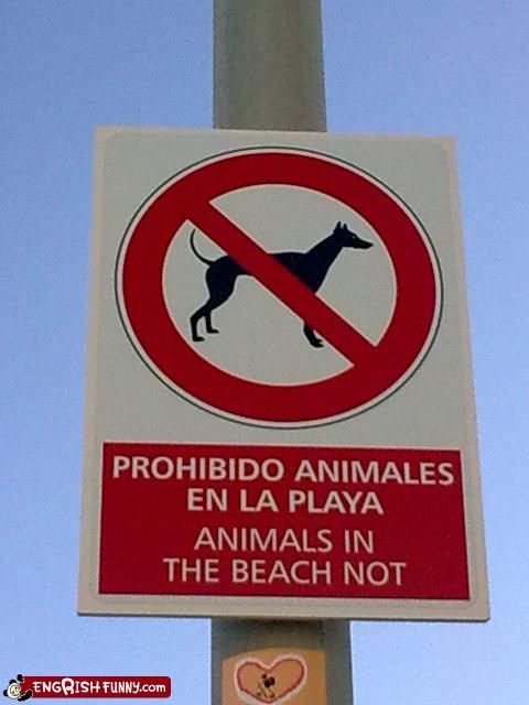 Beach sign fail