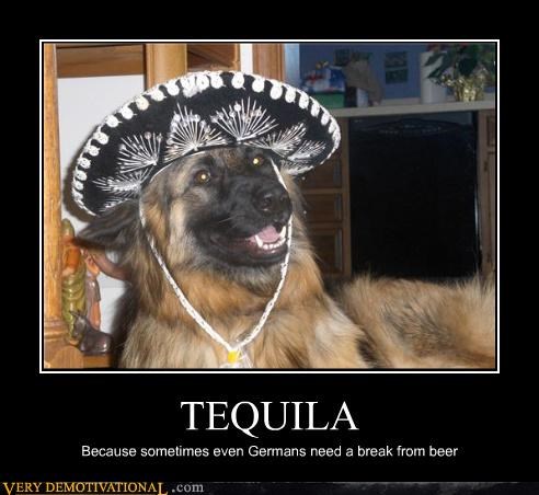 TEQUILA