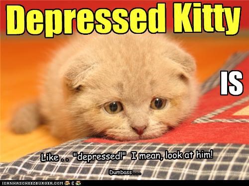 Depressed Kitty