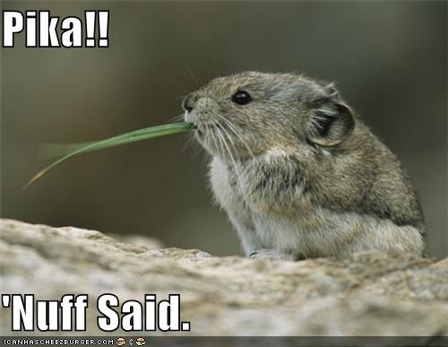 Pika!!  'Nuff Said.