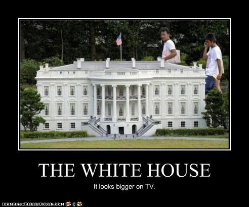 THE WHITE HOUSE