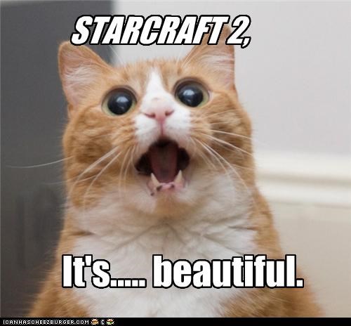 STARCRAFT 2,