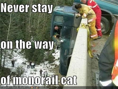 Never stay on the way of monorail cat