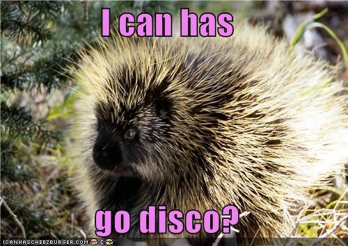 I can has  go disco?