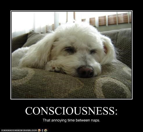CONSCIOUSNESS: