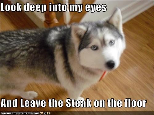 Look deep into my eyes  And Leave the Steak on the floor