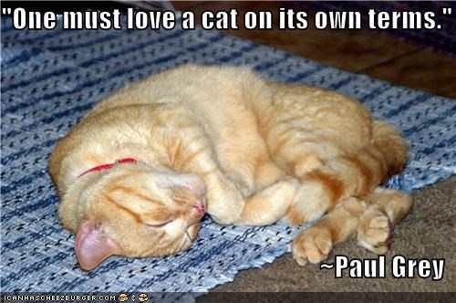 "One must love a cat on its own terms."  ~Paul Grey
