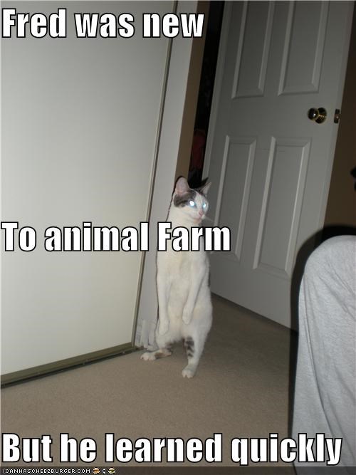 Fred was new To animal Farm But he learned quickly