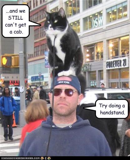 ...and we STILL can't get a cab. Try doing a handstand.