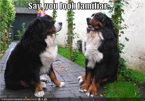 Say, you look familiar...