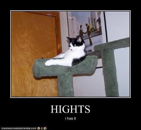 HIGHTS