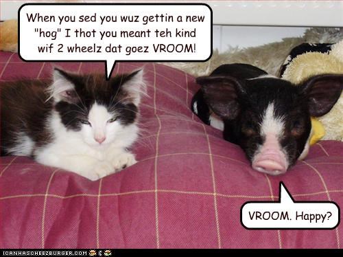When you sed you wuz gettin a new "hog" I thot you meant teh kind wif 2 wheelz dat goez VROOM!