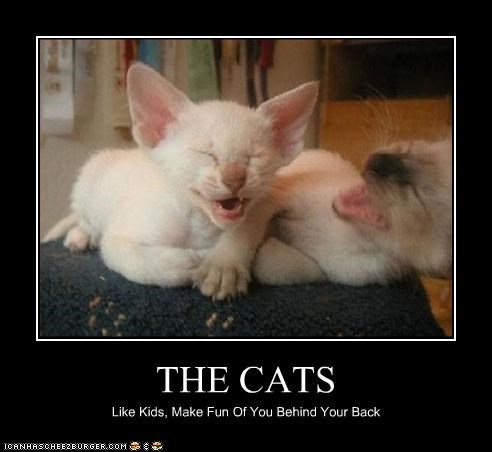THE CATS