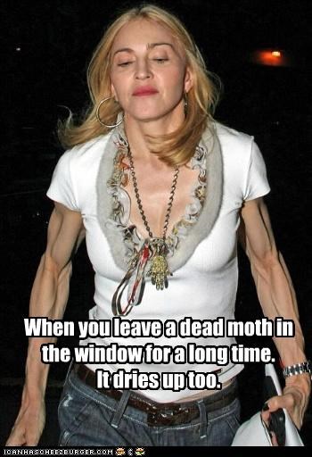 When you leave a dead moth in the window for a long time.It dries up too.