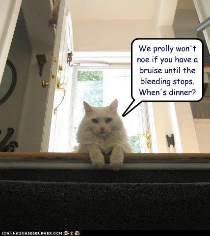We prolly won't noe if you have a bruise until the bleeding stops.  When's dinner?